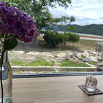 kohaku coffee - カウンター席から！