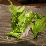 茶良ら - 辛子菜