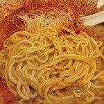 麺屋 極鶏 - 麺は、『麺屋 棣鄂』さんの中太ストレート麺！！