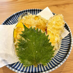 おうどん 瀬戸晴れ - 野菜天ぷら