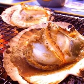 海鮮居酒屋 はまさき商店_0