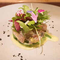 ARMONICO - 