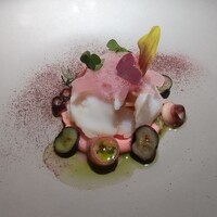 MOTORA  - 