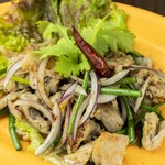 Grilled pork with chili lime [Nam Tok Moo]