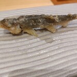 天麩羅 おばた - 稚鮎