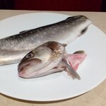 ペペロッソ - 淡水魚のイワナ