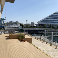 Mar Rosso - 