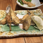 お肉にするか お魚にするか かのう - 