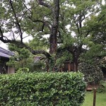 緑風舎カフェ - 