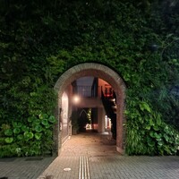 TOKYO Whisky Library - 
