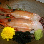 中むら - 森町産　ボタン海老の刺身