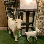 居酒屋めーめー - 