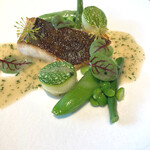 ラルジャン - サメガレイ