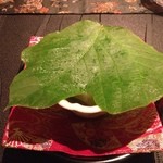 龍吟 - 葛の葉で蓋をされて