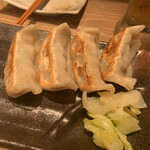 肉汁餃子のダンダダン - 
