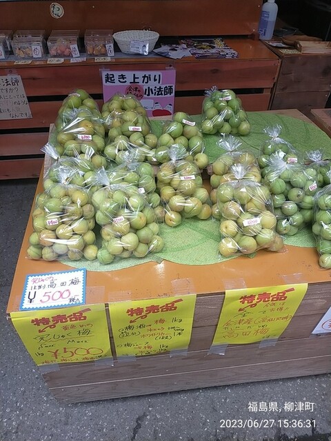 伊東種苗人形店 - 会津高田（その他）の写真