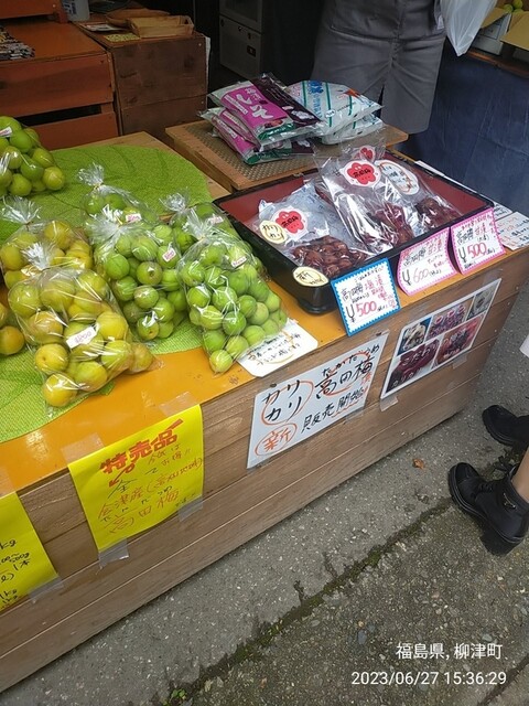 伊東種苗人形店 - 会津高田（その他）の写真