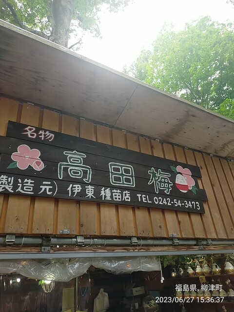 伊東種苗人形店 - 会津高田（その他）の写真