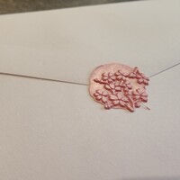 米菜°sakura 織音寿し - 