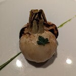 レフェルヴェソンス - 