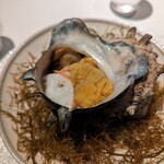 レフェルヴェソンス - 