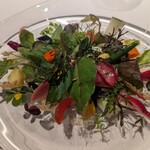 レフェルヴェソンス - 