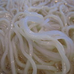 麺や 青雲志 - 二種類の麺(アップ)