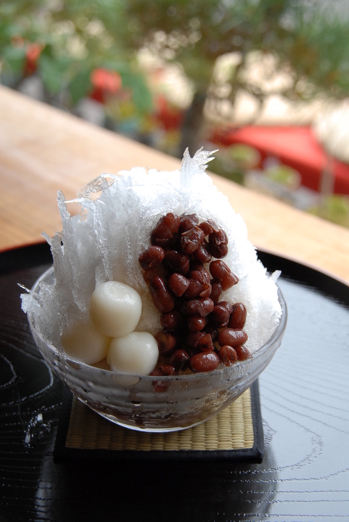 盆栽(割烹) 吉田匡人（鳳鳴盆栽） (@houmeibonsai) • Instagram photos and videos