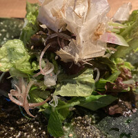 円居-MADOy- 日比谷店 - 