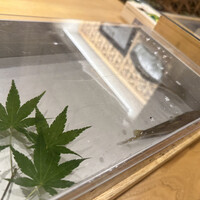 三宅輝 - 