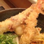 さぬきうどん専門店 讃也 - 
