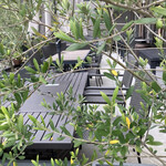 リストランテ プレーゴ - テラスはもう暑いね、、