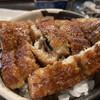 Unagi Chaya Anzu - 