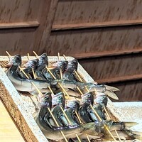 日本橋 蕎ノ字 - 