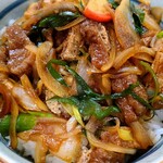 岩正 - 志の田丼