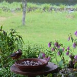 くつきそば 永昌庵 - 