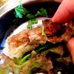 TASTE THE WORLD - 揚げ春巻き