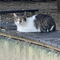 すし うえだ - 