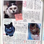 中華そば志のぶ支店 - 地域ネコちゃんのお知らせ