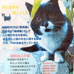 中華そば志のぶ支店 - お店地区では地域ネコ活動中のお知らせ