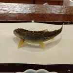 京都祇園 天ぷら八坂圓堂 - 琵琶湖の鮎