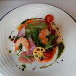 ビストロ ルポルポ - 前菜（カルパッチョ）