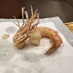 Tempura To Sakana Umino - 