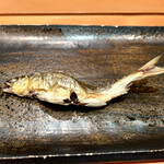 福鮨 - 稚鮎の塩焼き