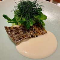 cenci - 