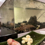 Sushi Kiichi - 