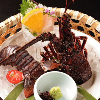 伊勢志摩・熊野灘直送！三重的伊勢蝦從10月到4月底開放供應