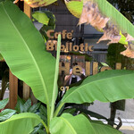 Cafe Bibliotic Hello! - 