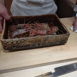 鮨みなと - 大きなぼたん海老