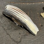 すし屋のさい藤 - 